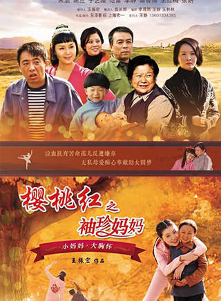 王天泽(中国内地影视童星演员)