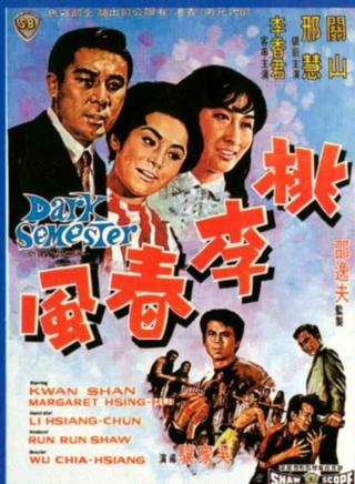 潘迎紫