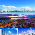 海口 海口
