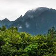 牯牛降风景区 牯牛降风景区