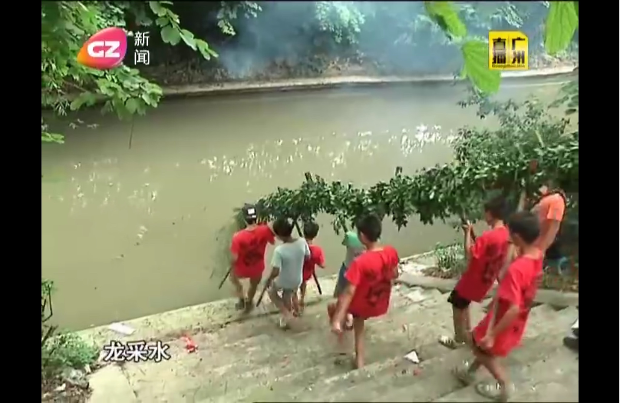清湖村:龙采水 清湖村:龙采水