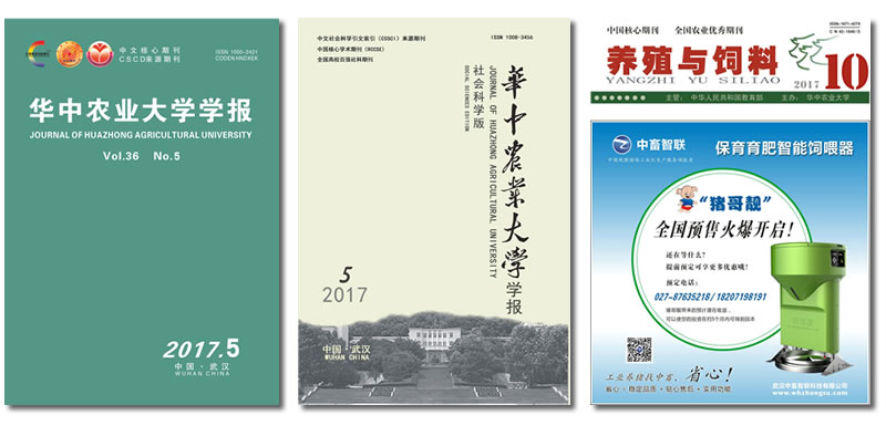 学术期刊 学术期刊