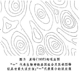 物种形成 物种形成