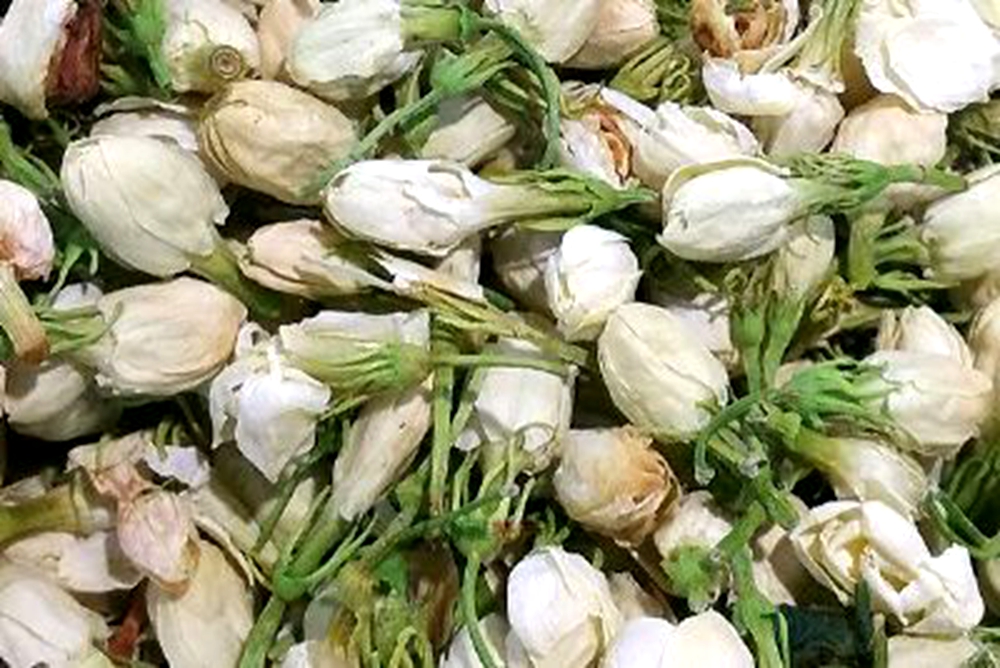 犍为茉莉花茶 犍为茉莉花茶