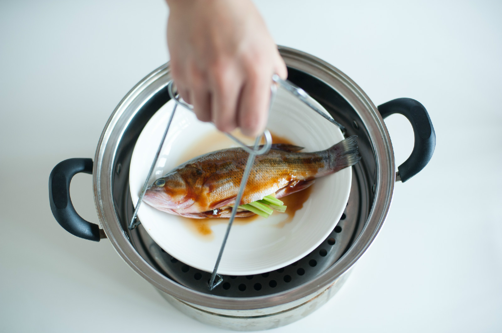 清蒸鲈鱼 清蒸鲈鱼