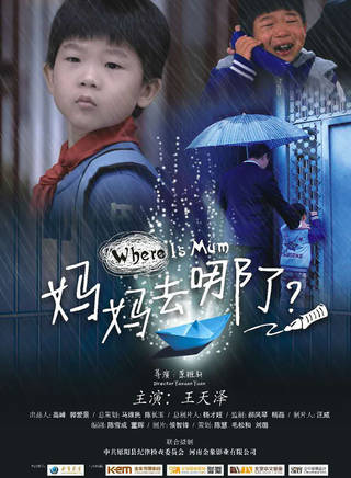 王天泽(中国内地影视童星演员)