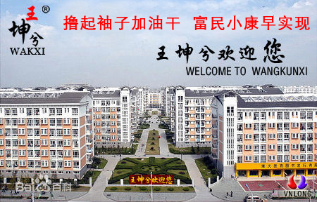 王坤兮 王坤兮