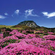 汉拿山(韩国三大名山之一) 汉拿山(韩国三大名山之一)