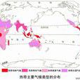 热带气候 热带气候