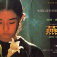 燕尾蝶Swallowtail 燕尾蝶Swallowtail
