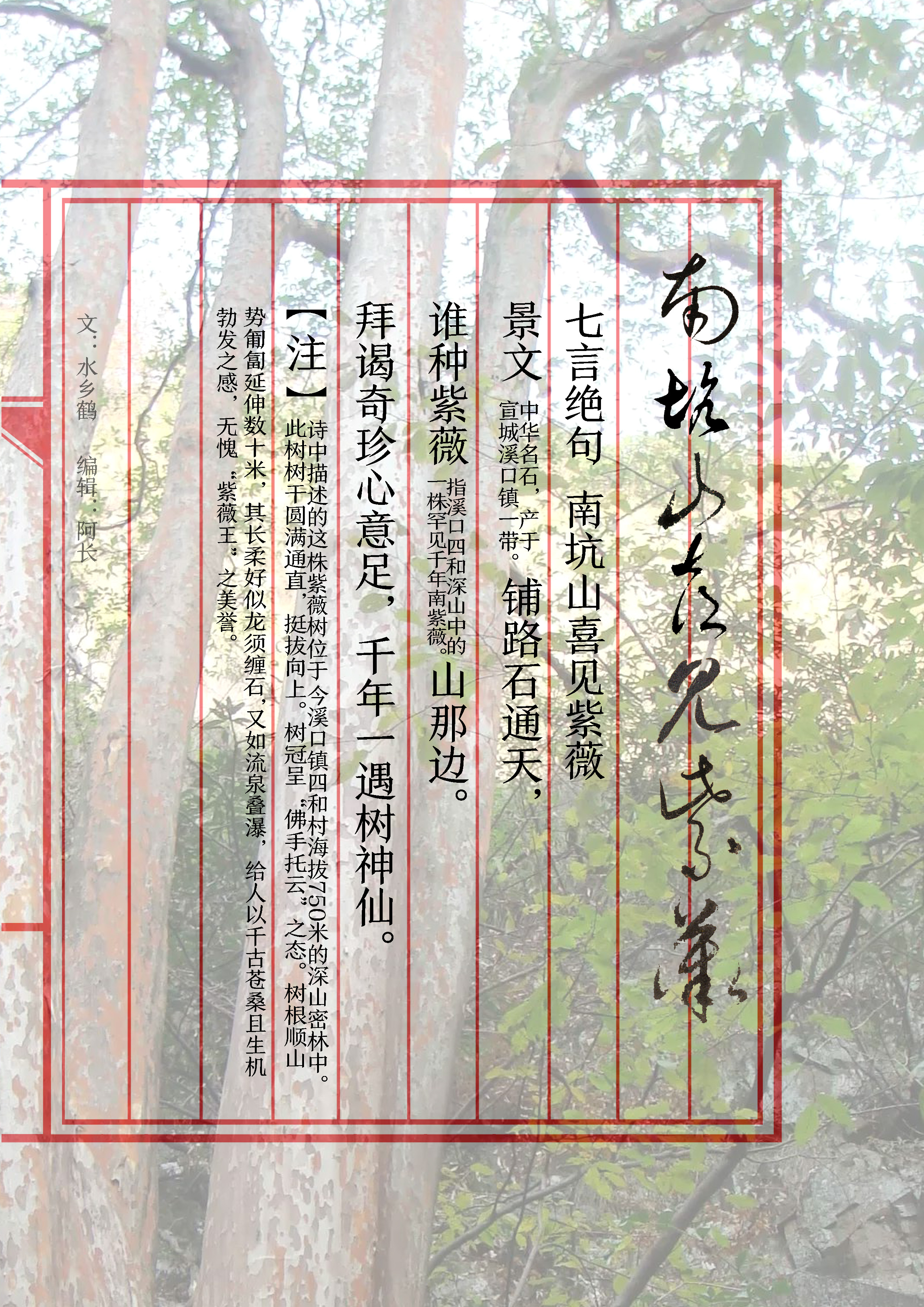 溪口镇(安徽省宣城市溪口镇) 溪口镇(安徽省宣城市溪口镇)