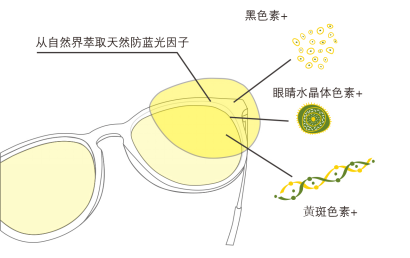 派丽蒙 派丽蒙
