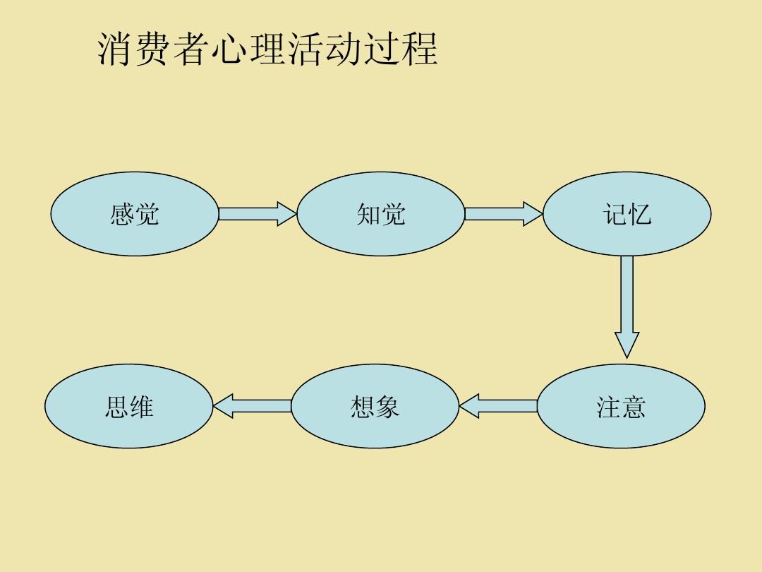 消费者心理 消费者心理