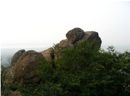 鹊华山 鹊华山