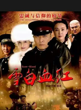 王劲松(江苏籍影视演员)