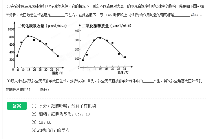 净光合作用 净光合作用