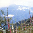 玉山公园 玉山公园