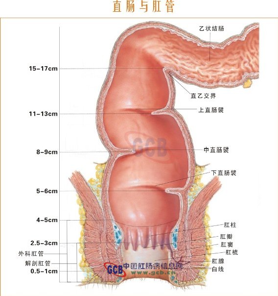 湿热便血 湿热便血