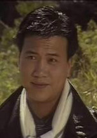 流氓大亨(1986年香港电视剧)
