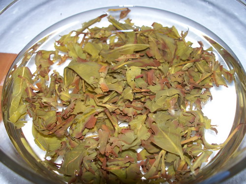 漳平水仙茶 漳平水仙茶