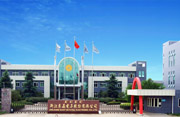 浙江东晶电子股份有限公司 浙江东晶电子股份有限公司
