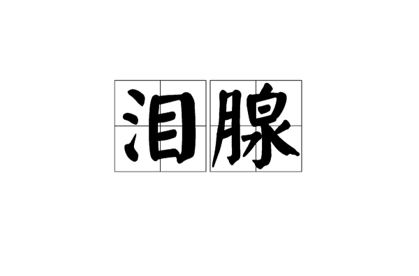 泪腺 泪腺