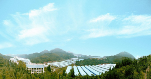 养殖基地 养殖基地