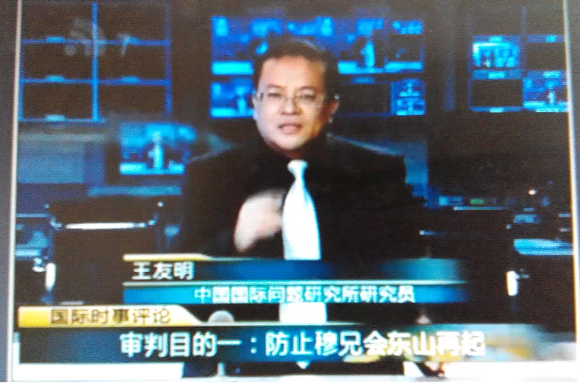 王友明(中国国际问题研究院研究员) 王友明(中国国际问题研究院研究员)
