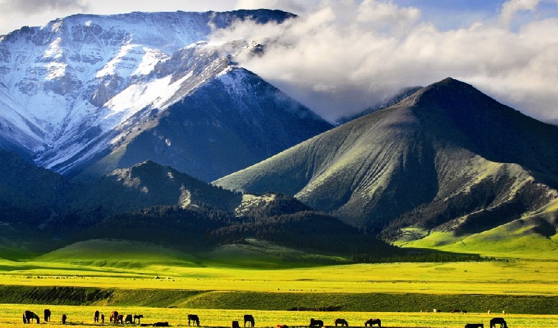 焉耆回族自治县风景 焉耆回族自治县风景