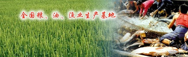 商贾文化 商贾文化