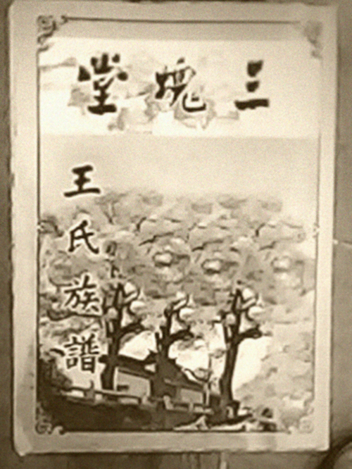 王姓家谱 王姓家谱