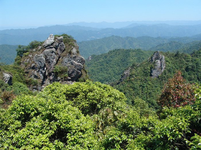 湖南两江峡谷国家森林公园