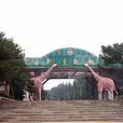 济南野生动物园 济南野生动物园
