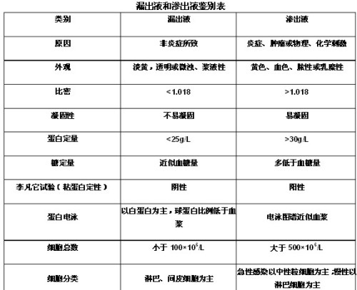 渗出液 渗出液