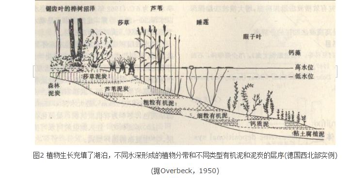 湖泊沉积体系 湖泊沉积体系
