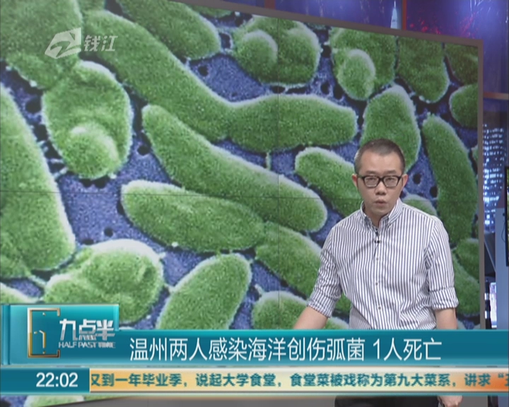 海洋弧菌 海洋弧菌