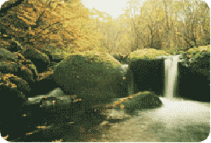 汤沟风景区 汤沟风景区