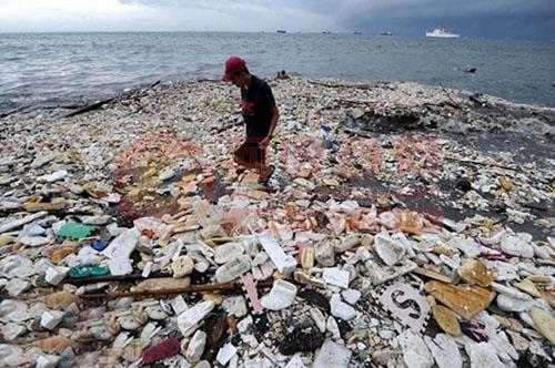 海洋污着生物 海洋污着生物