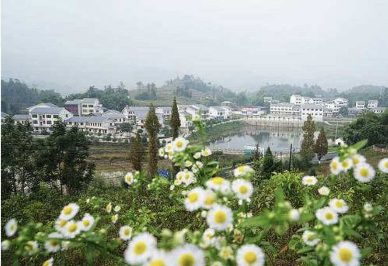 清水镇(甘肃省武威市凉州区清水镇)