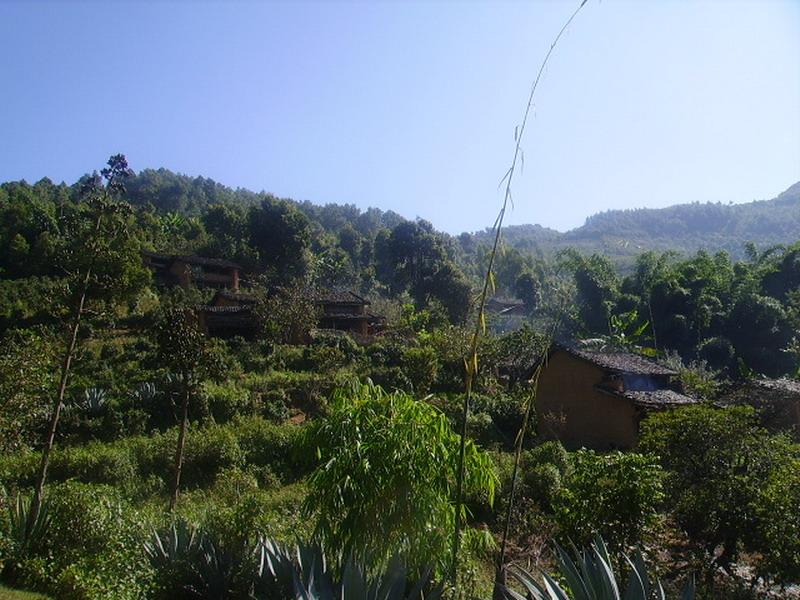 渣子树自然村 渣子树自然村