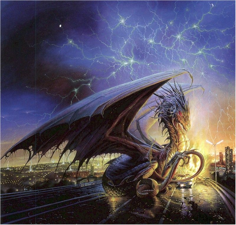 白龙 白龙