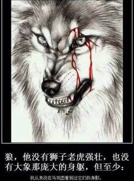 狼性(团队精神) 狼性(团队精神)