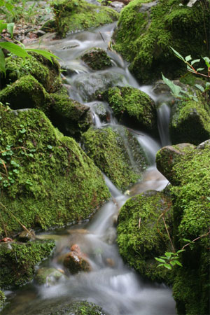 汤沟风景区 汤沟风景区