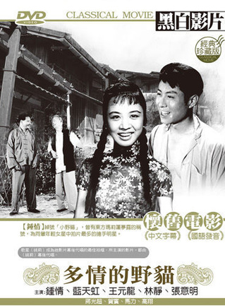 王天林