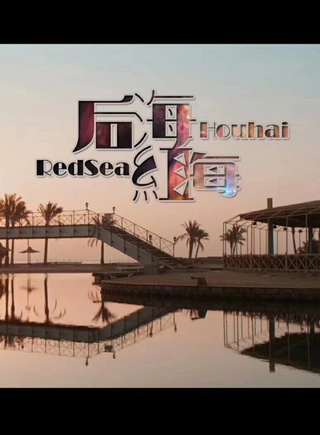 王丹(演员、主持人)