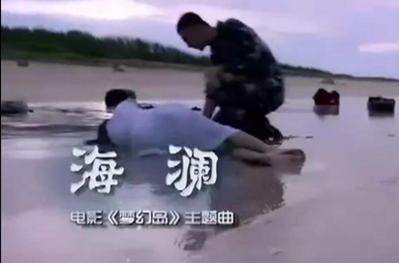 海澜(王鸣飞演唱歌曲) 海澜(王鸣飞演唱歌曲)
