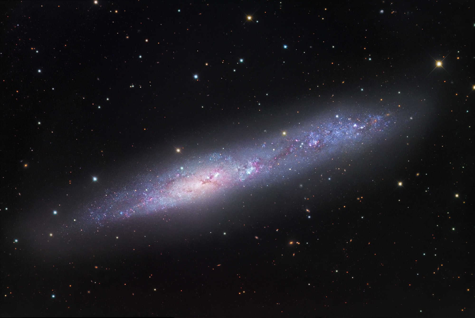 玉夫座的星系 玉夫座的星系