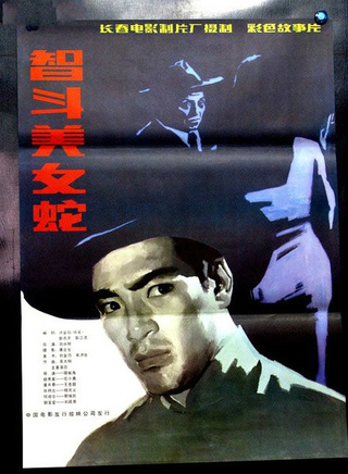 王刚(中国内地影视男演员、主持人)