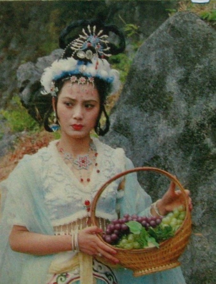 玉面狐狸 玉面狐狸