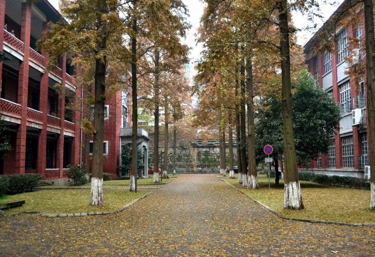 湖南大学培训中心 湖南大学培训中心